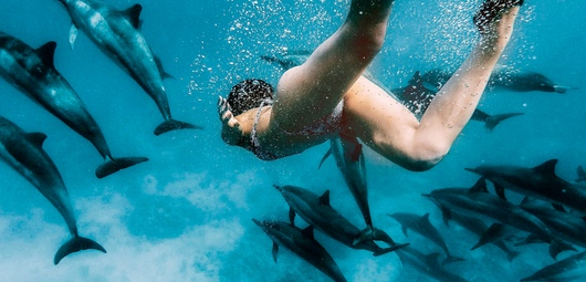 Fitness-paragone-1-sostanza-Delfini